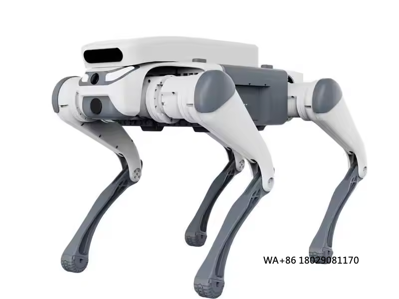 Robot Remote Control - Jouet éducatif télécommandé pour cascadeur, mangeoire