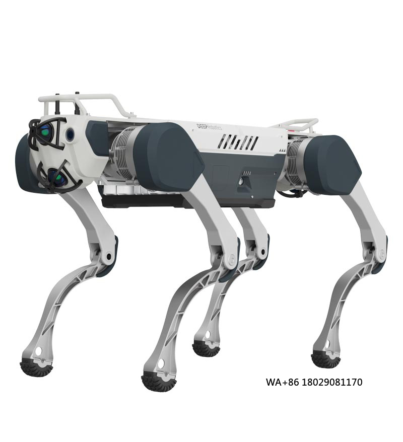 Obtenez l'intelligence artific - Robot Remote Control avis et prix